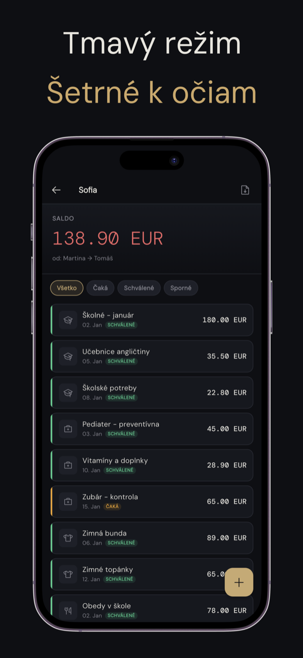 Zoznam výdavkov v tmavom režime